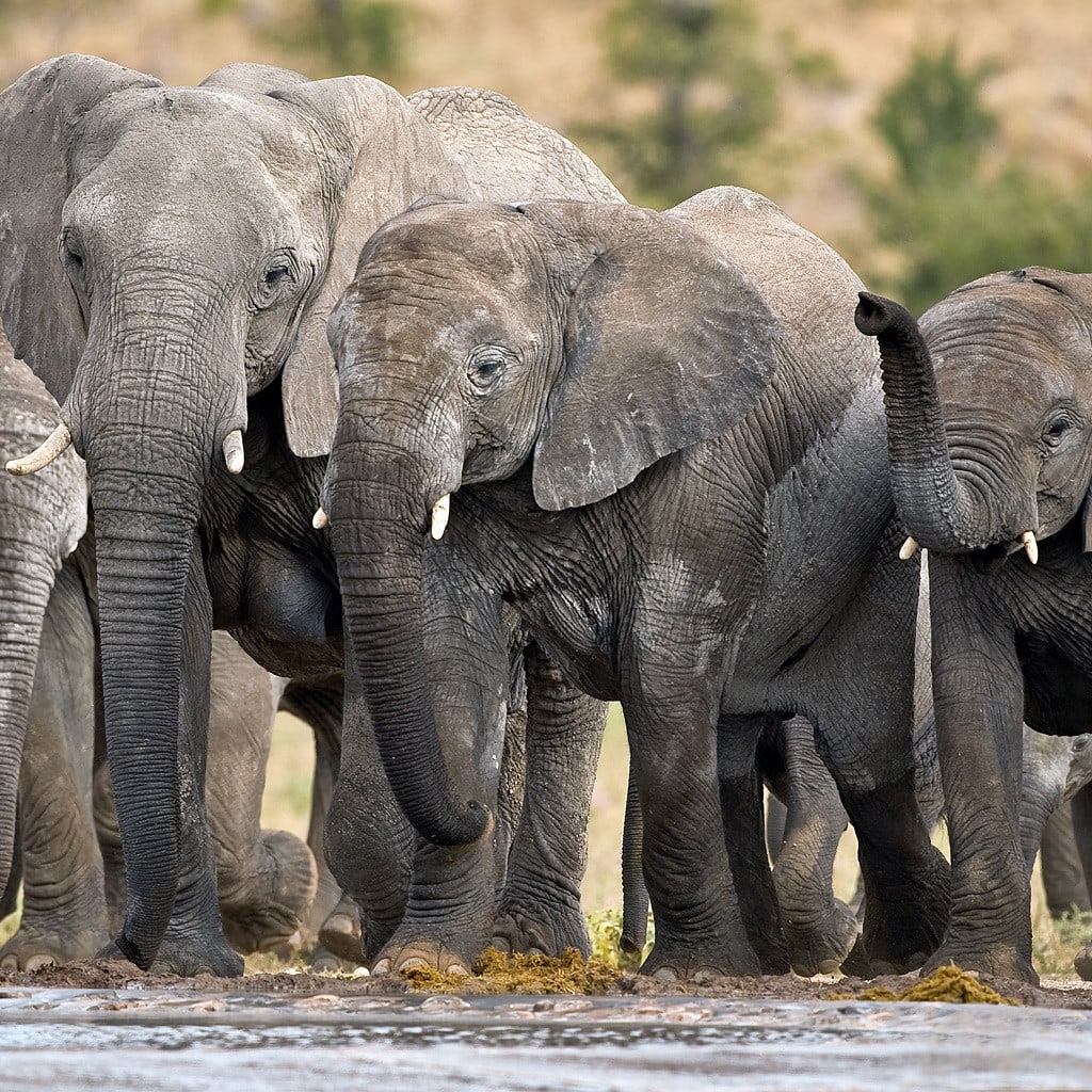 Individual Selbstfahrer Rundreise Namibia