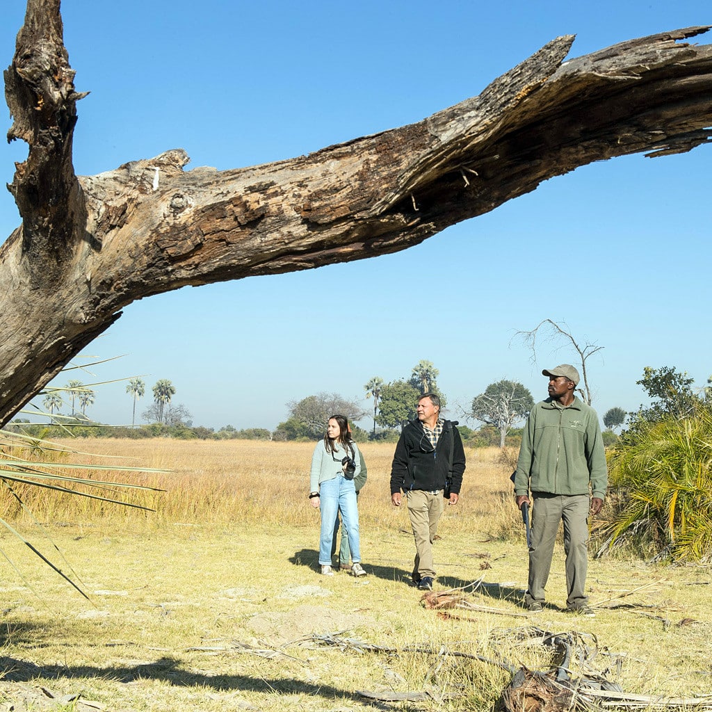 Selbstfahrer Rundreise Namibia Botswana