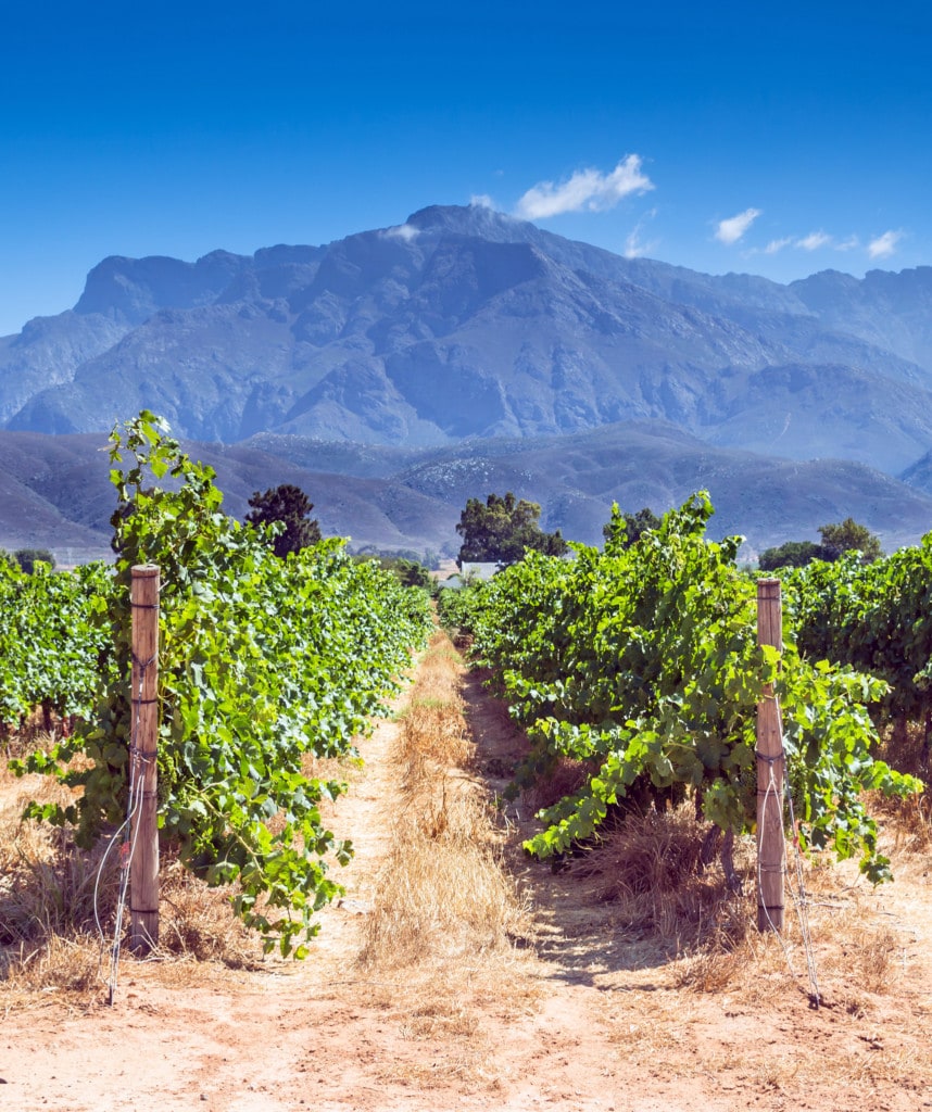 Stellenbosch Selbstfahrerreise Suedafrika