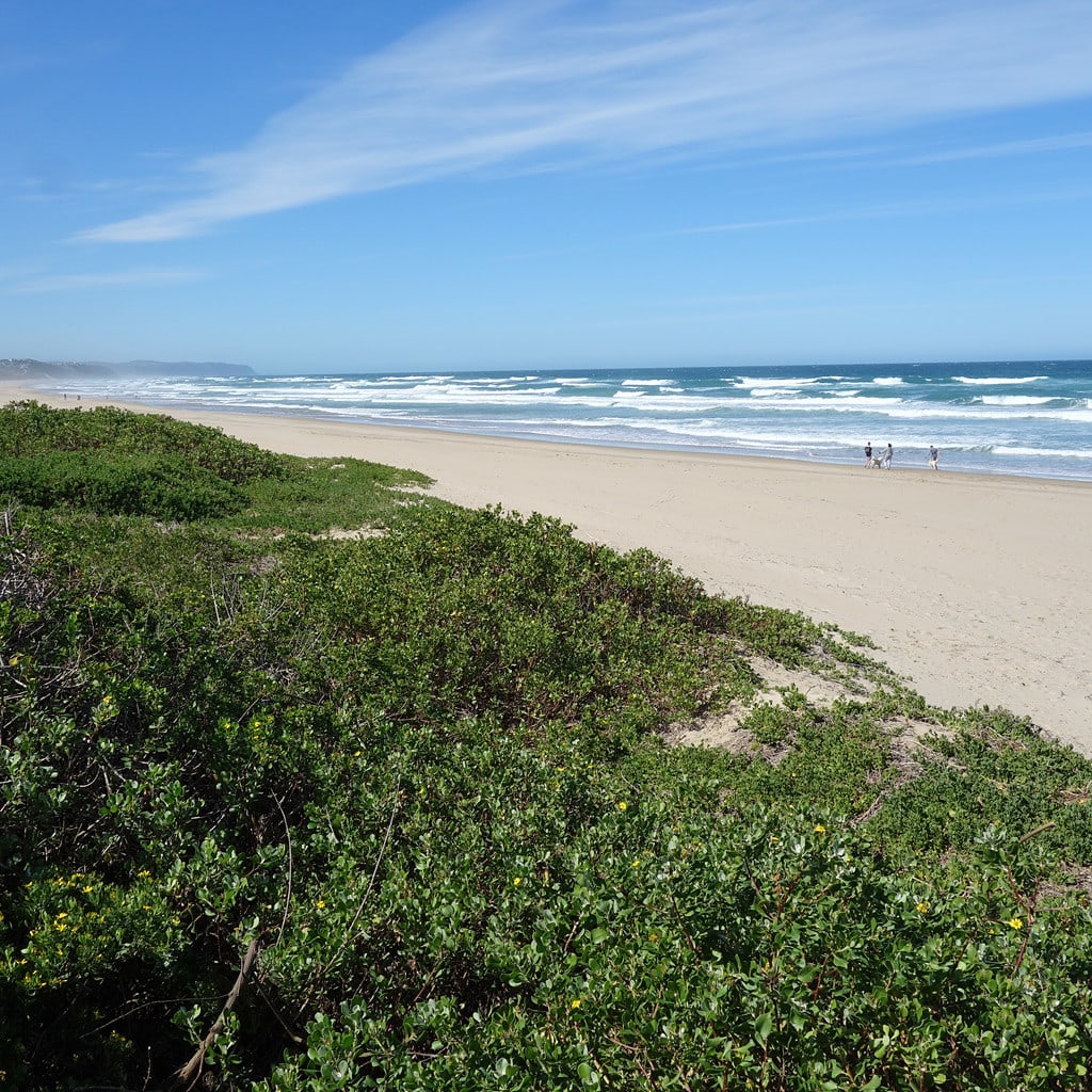 Garden Route Selbstfahrer Suedafrika