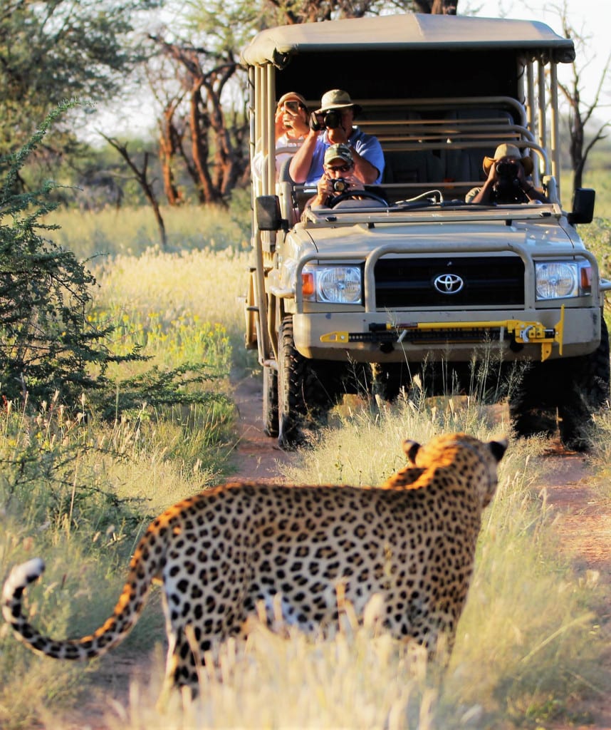 Highlights Namibia Norden Rundreise Okonjima