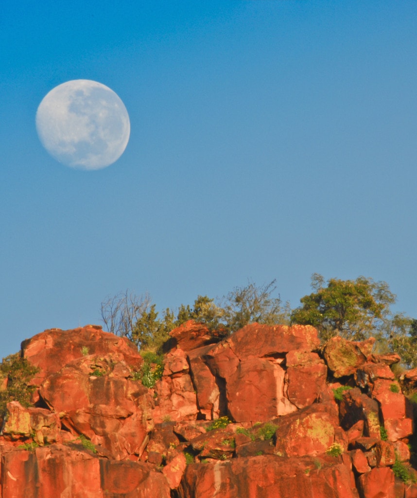 Highlights Namibia Rundreise Selbstfahrer Waterberg