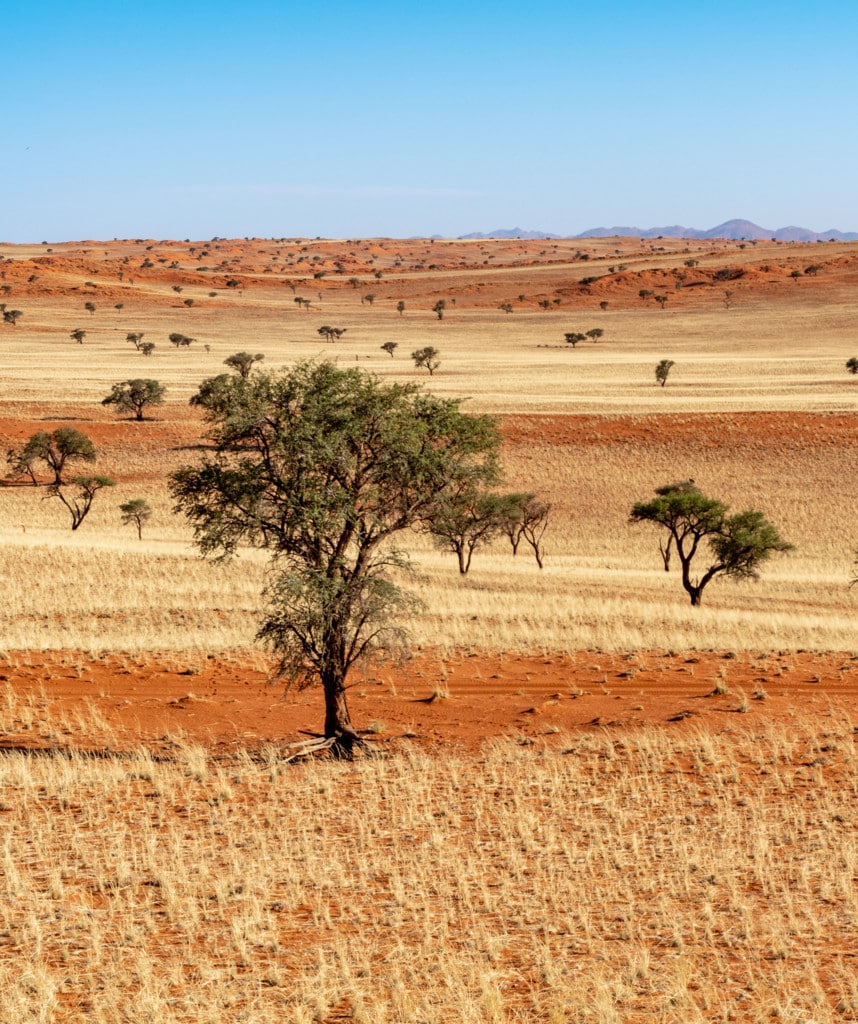 Highlights Namibia Selbstfahrer Reise NamibRand