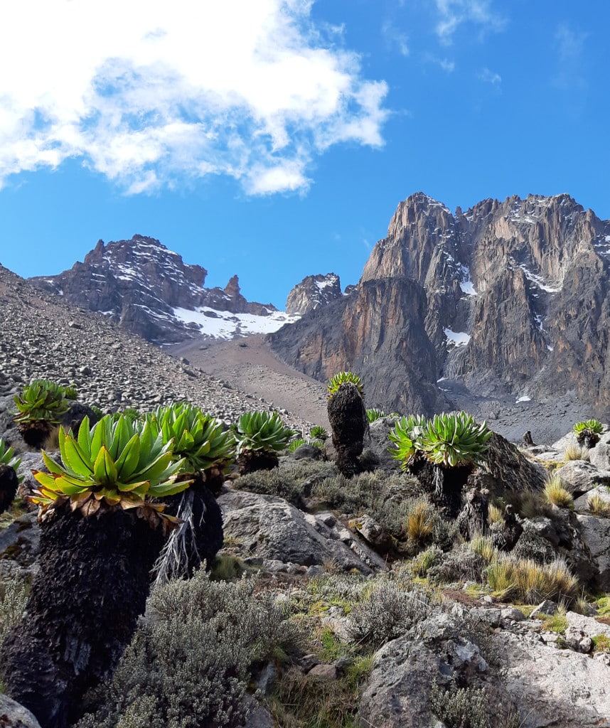 Safaris Kenia Mt Kenya