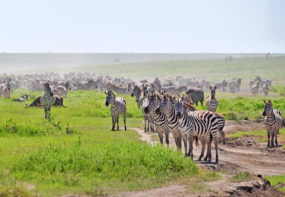 Camping Safari Kenia