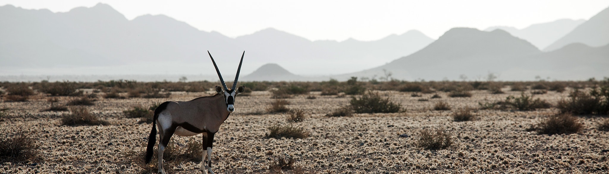 Namibia Selbstfahrer Reise