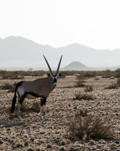 Namibia Selbstfahrer Reise