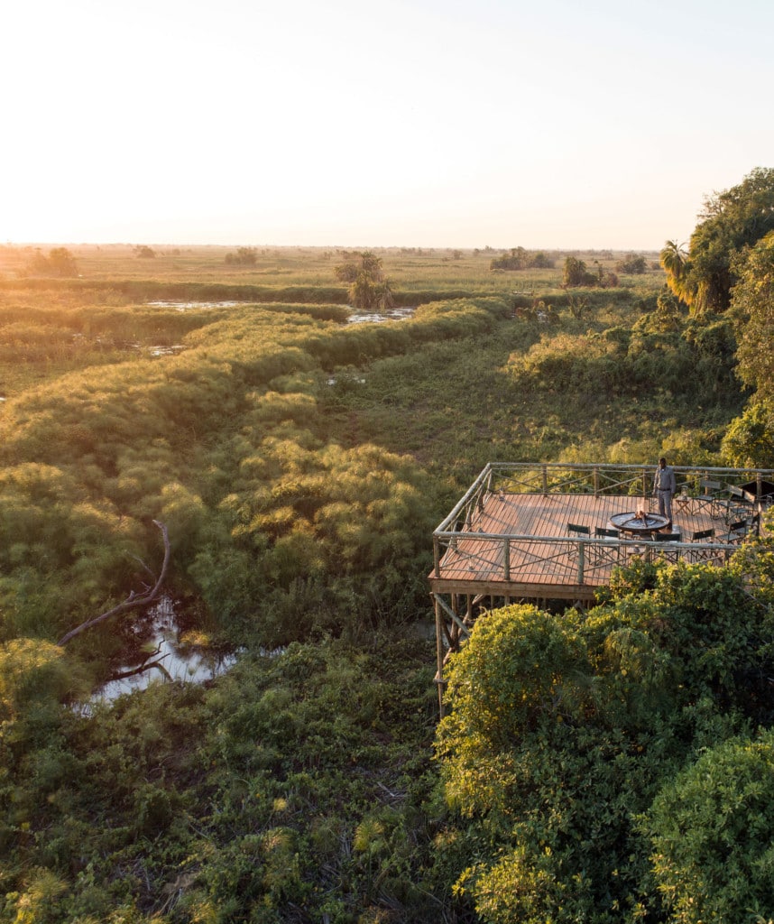 Botswana Reisen buchen Highlights Safari