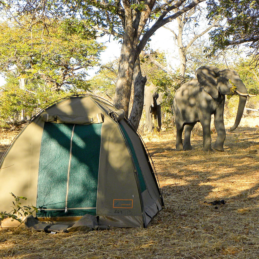 Zweipersonenzelt Camping Safari Botswana