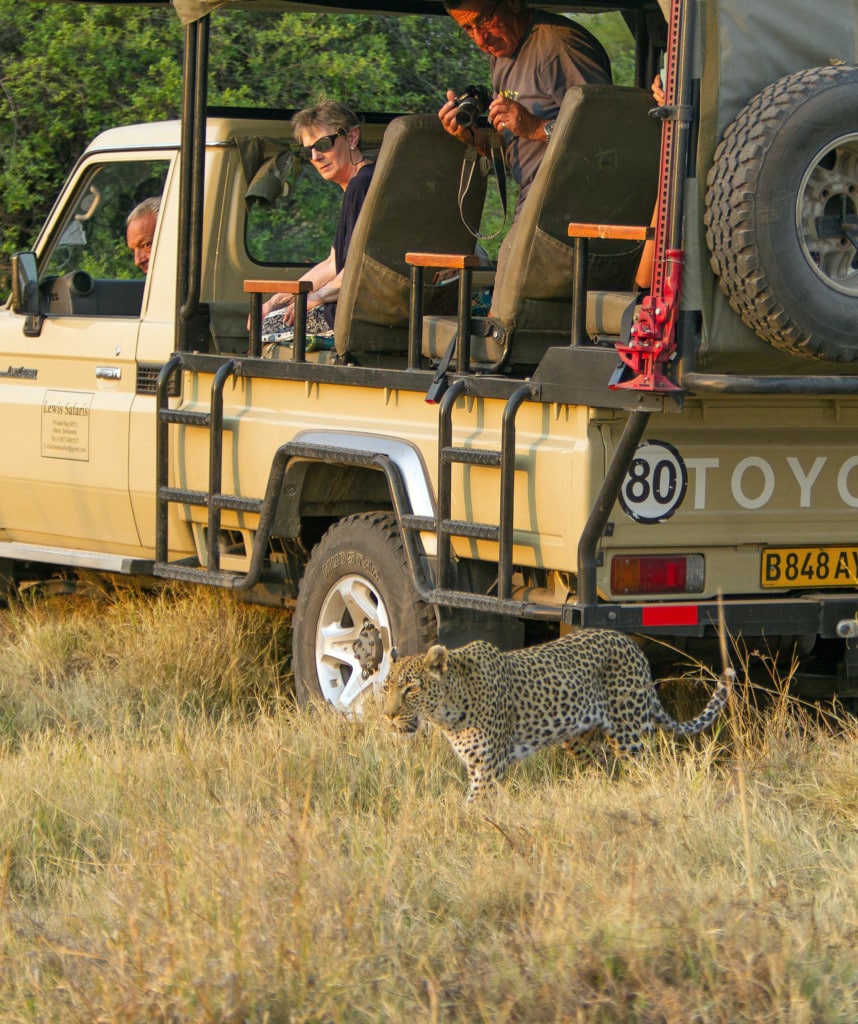 Fahrzeug auf Kleinstgruppenreise Campingreise in Botswana