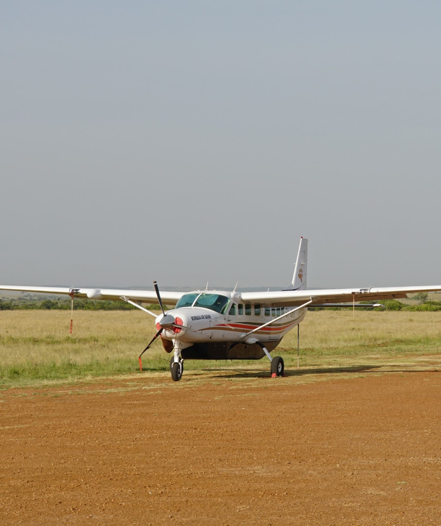 Flugsafari Gorilla Trekking