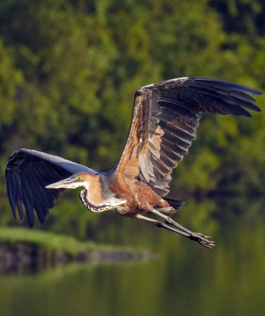 Sambia Afrika Safari Transport
