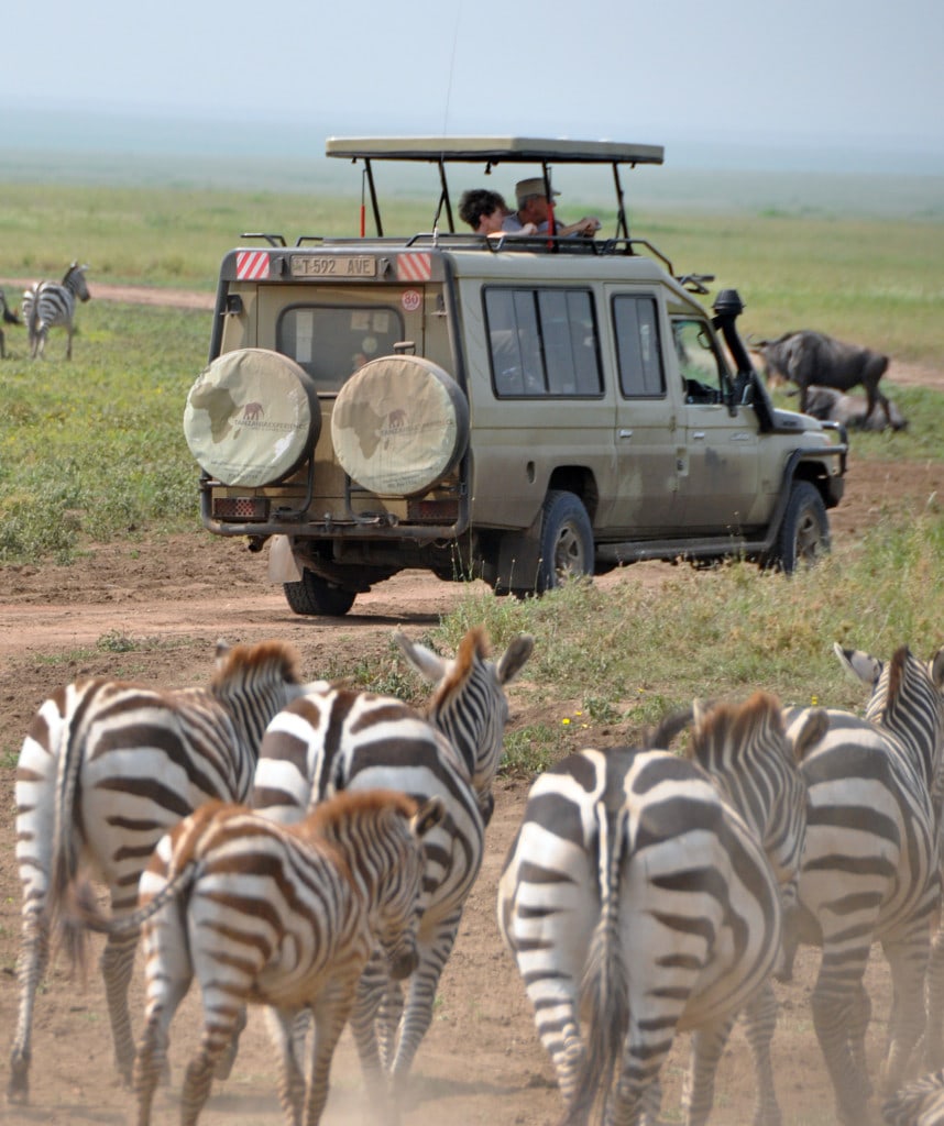 Pirschfahrt im Geländewagen auf Tansania Camping Safari