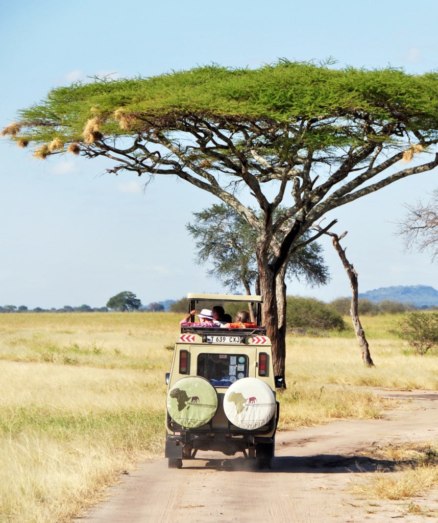 Pirschfahrt im Safarifahrzeug während einer 5-tägigen Tansaniareise