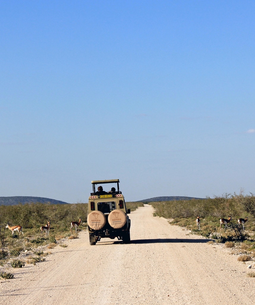 Highlights Gruppe Namibia Lodge Safari