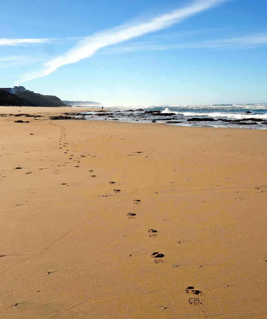 Highlights Reise Suedafrika Garden Route Wilderness