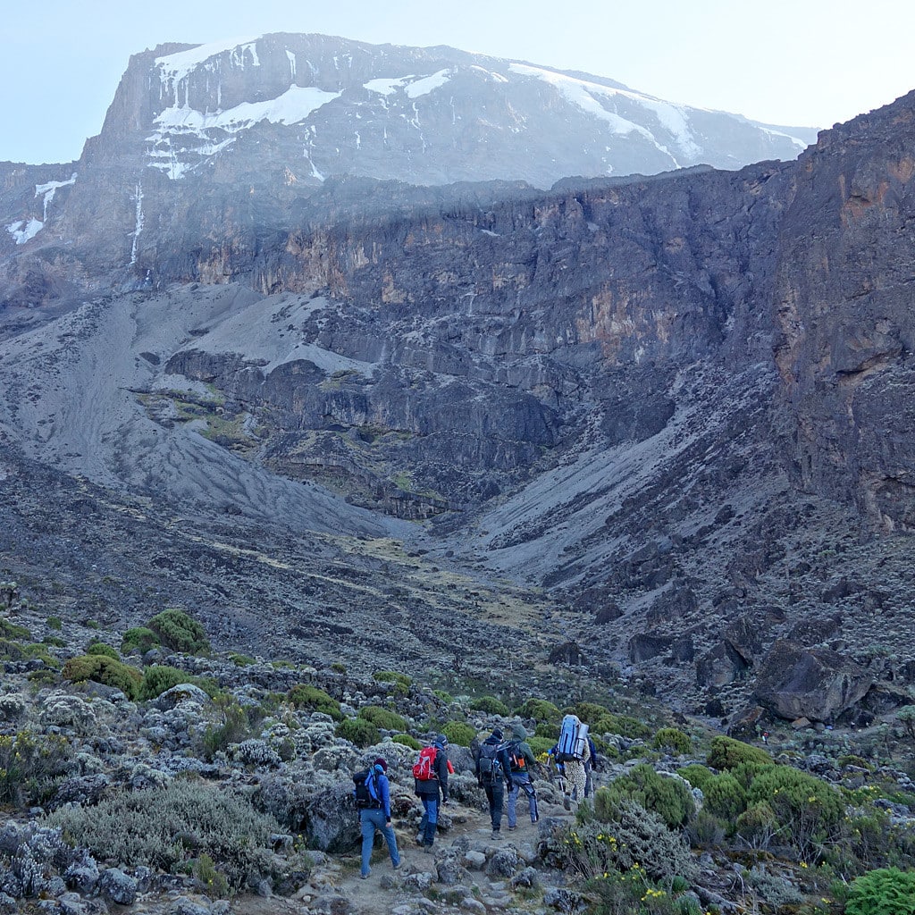 Barranco Wall auf der Lemosho Route Kilimanjaro