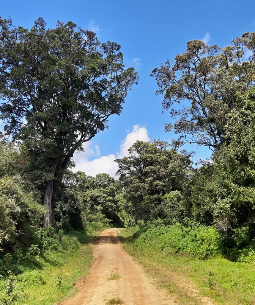 Tag 1 auf der Chogoria Route Mt Kenia