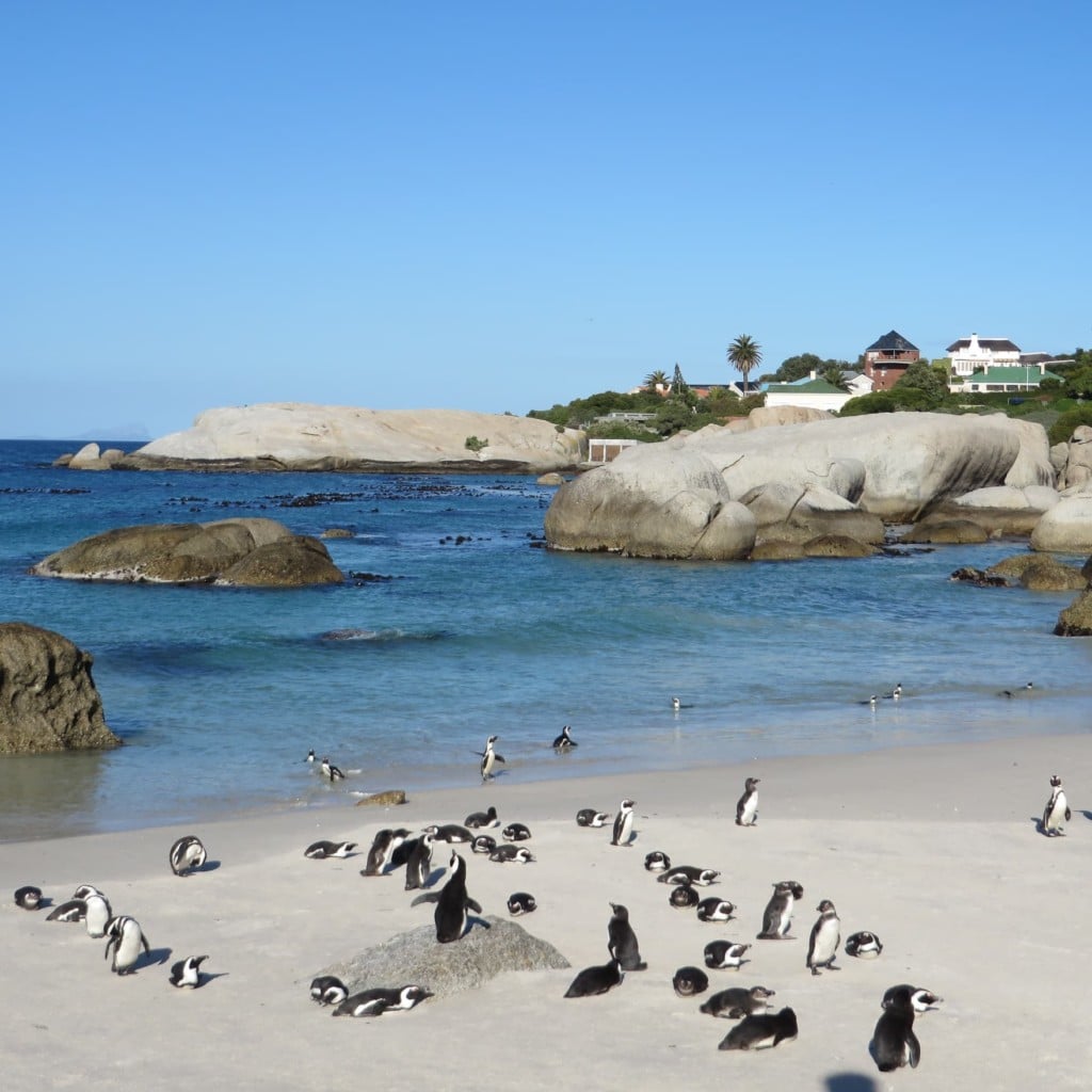 Rundreise Südafrika Namibia Botswana