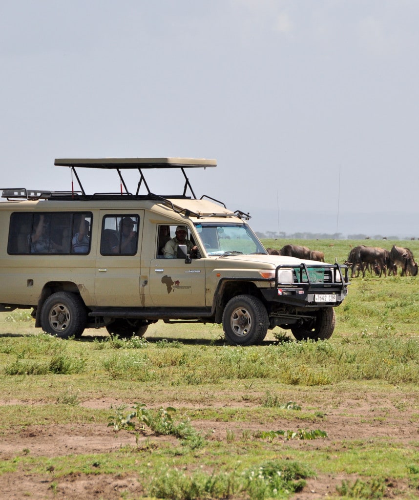 Safarifahrzeug Kenia und Tansania Safari