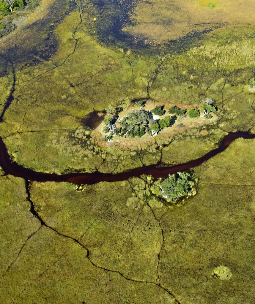 Okavango Delta auf Selbstfahrerreisen in Botswana erkunden