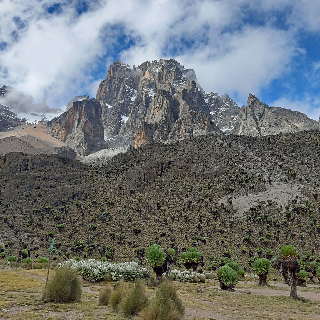 Ausblick vom Shipton's Camp Mt Kenia