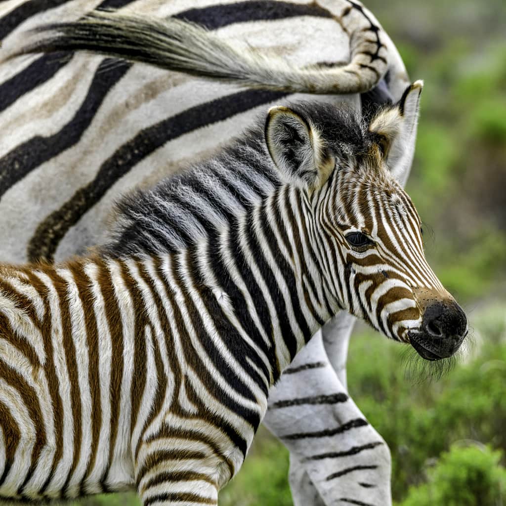 Suedafrika Rundreise Kleingruppe