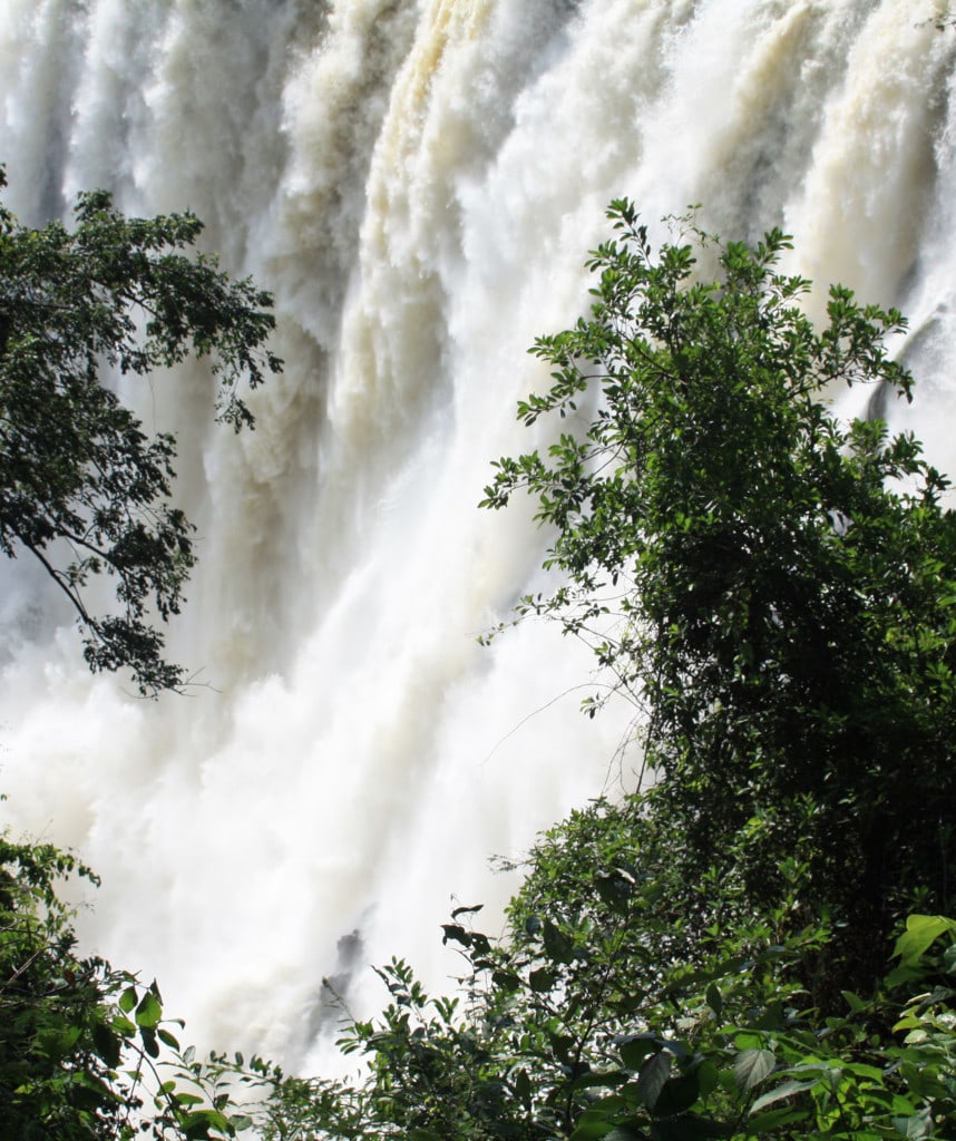 Victoria Falls Wasserfälle Sambia Safari
