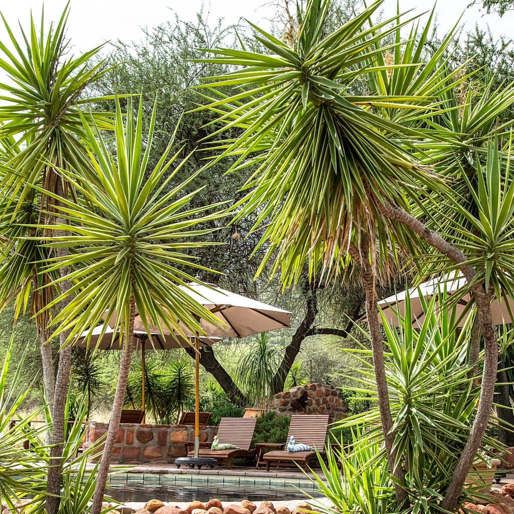 Waterberg Guest Farm Namibia