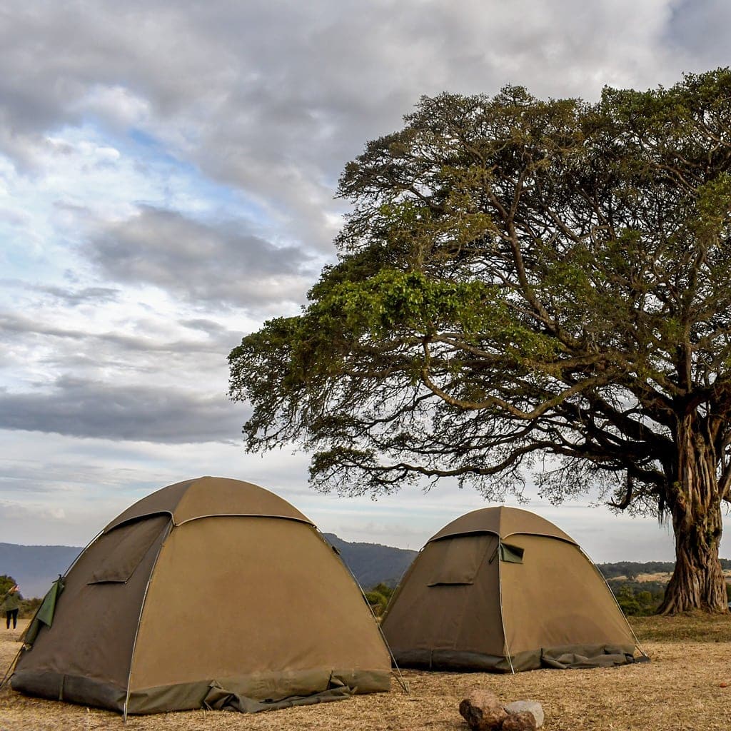 Campingplatz am Ngorongoro Krater