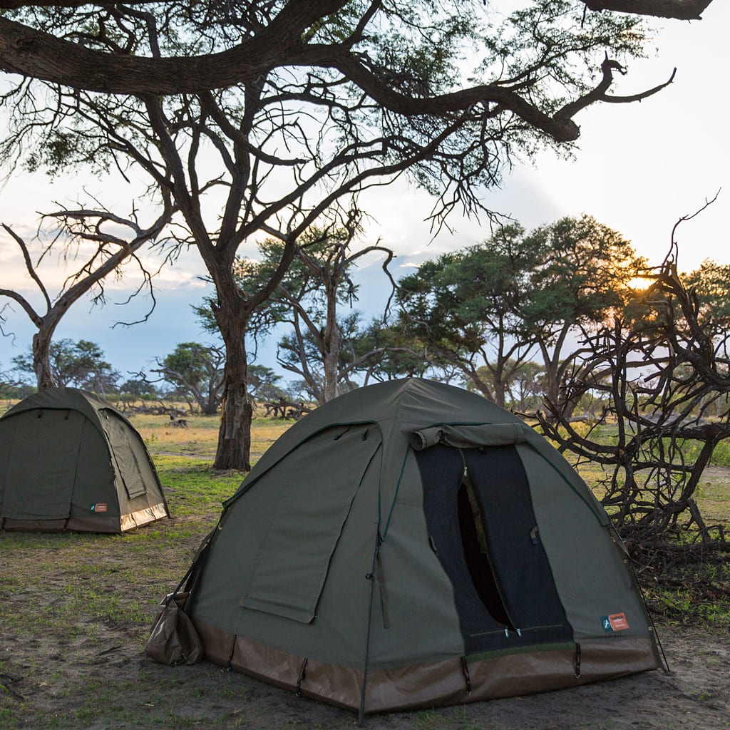 Zwei Personen Zelt Botswana Safari