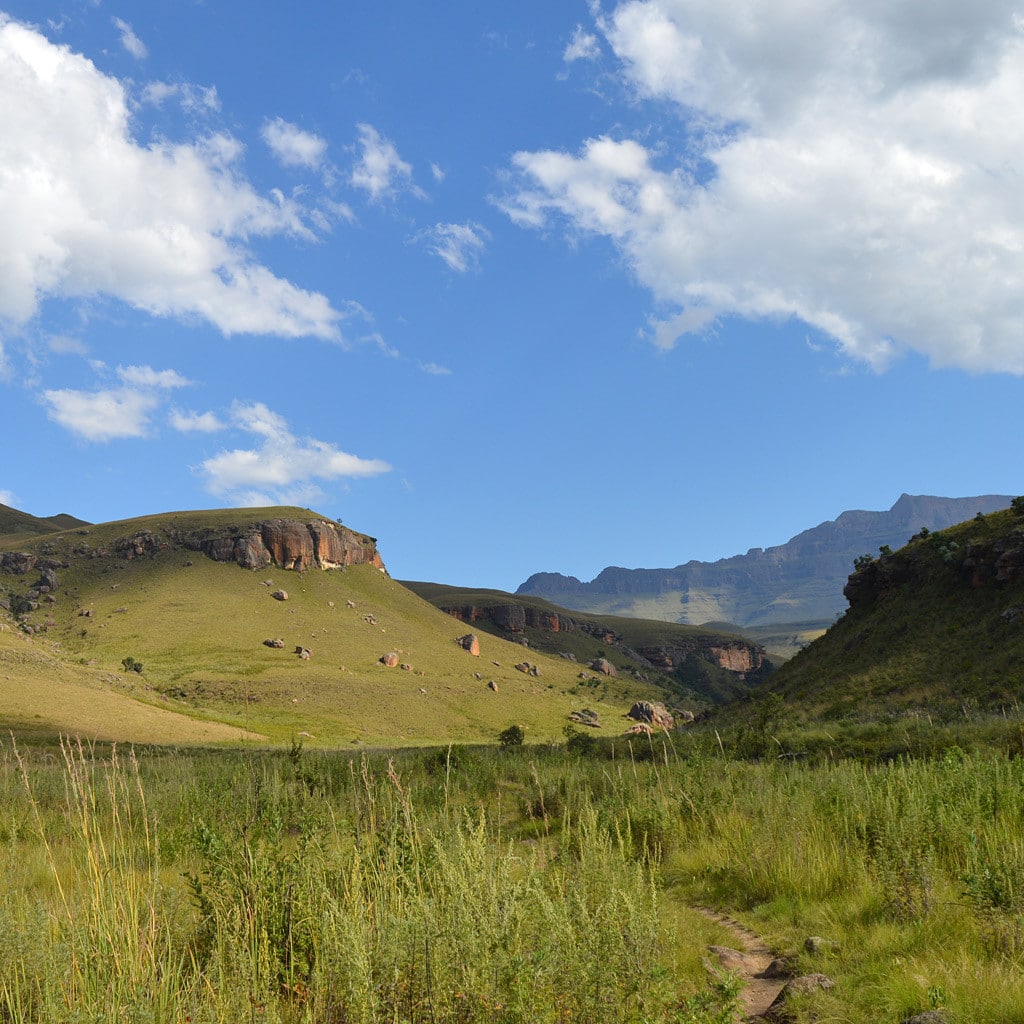 Zwei Wochen Suedafrika Safari