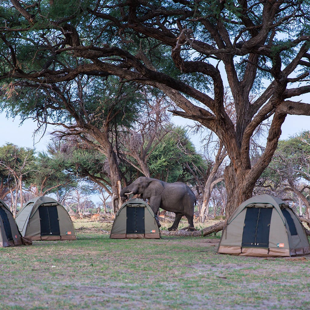 Camping Reise Botswana