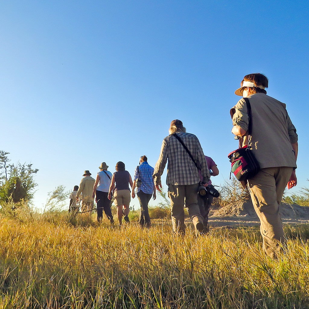 Bush und Nature Walks auf Camping Safari in Botswana