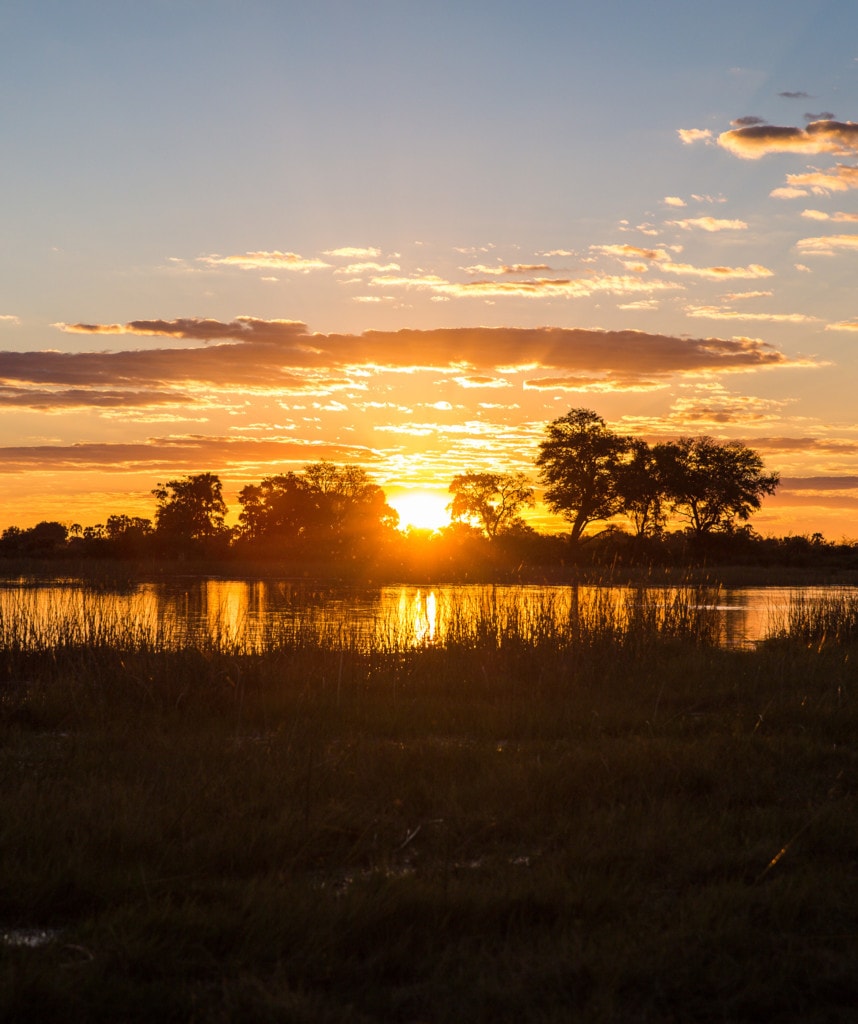 Highlight Chobe Nationalpark Camping Reise Botswana