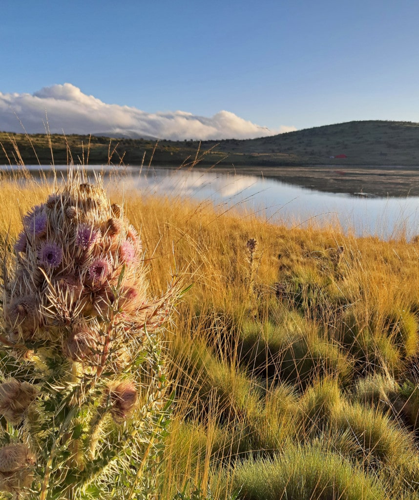 Tag 2 auf der Chogoria Route Mt Kenia