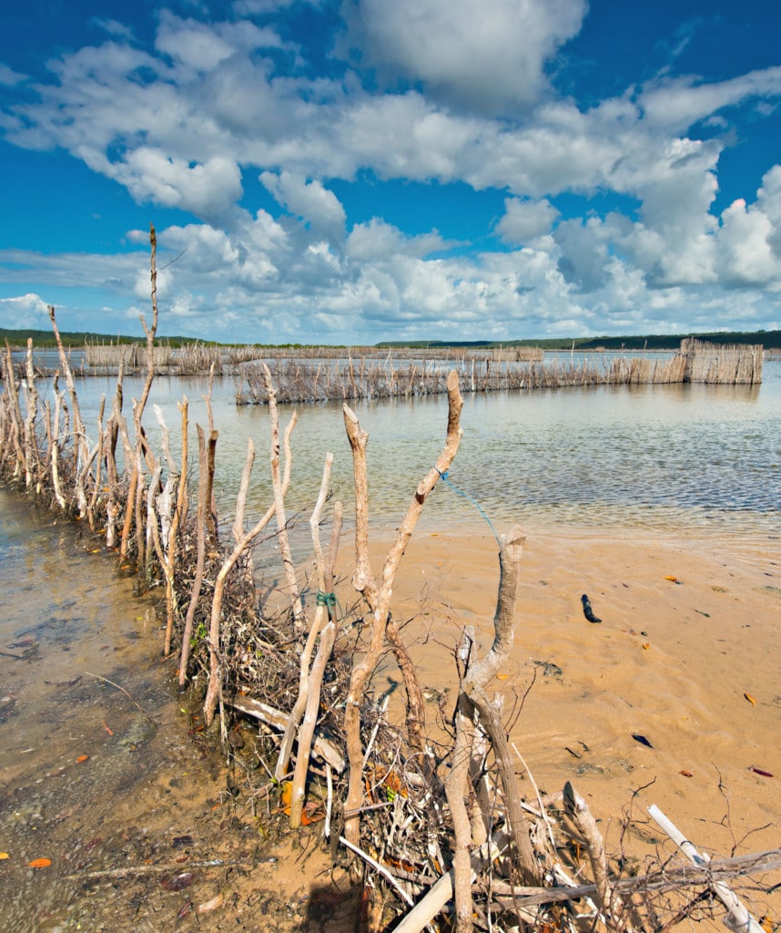 Highlights Rundreise Mosambik Kosi Bay