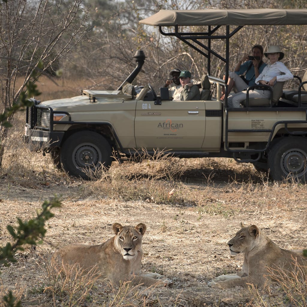 Kanga Camp Flugsafari Simbabwe