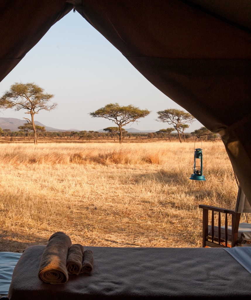 Kati Kati Camp Tansania Reisen