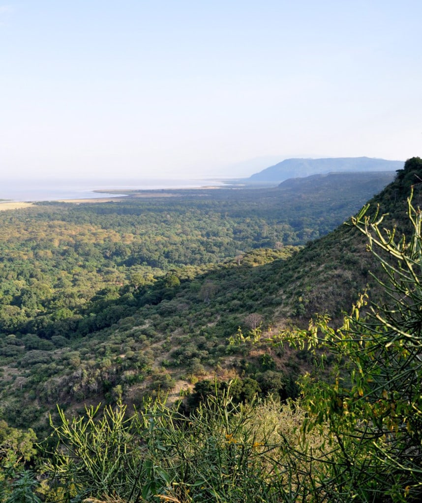Blick auf den Lake Manyara in Tansania
