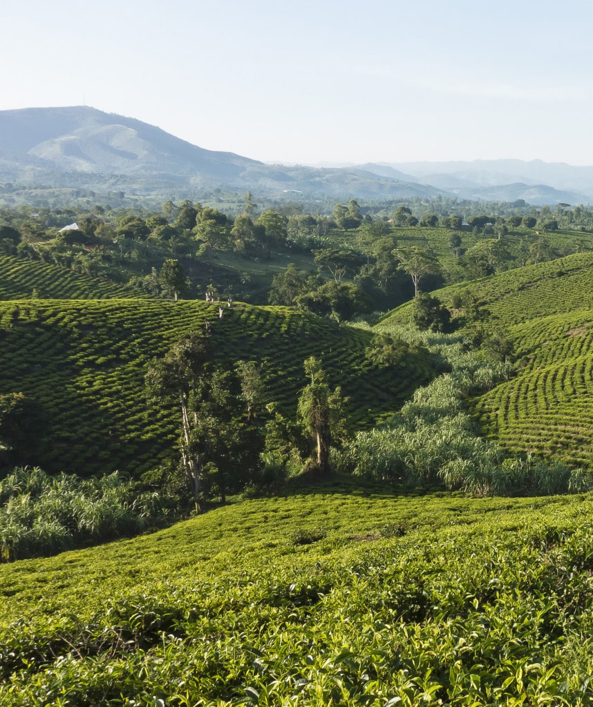 Landschaften Uganda Reise