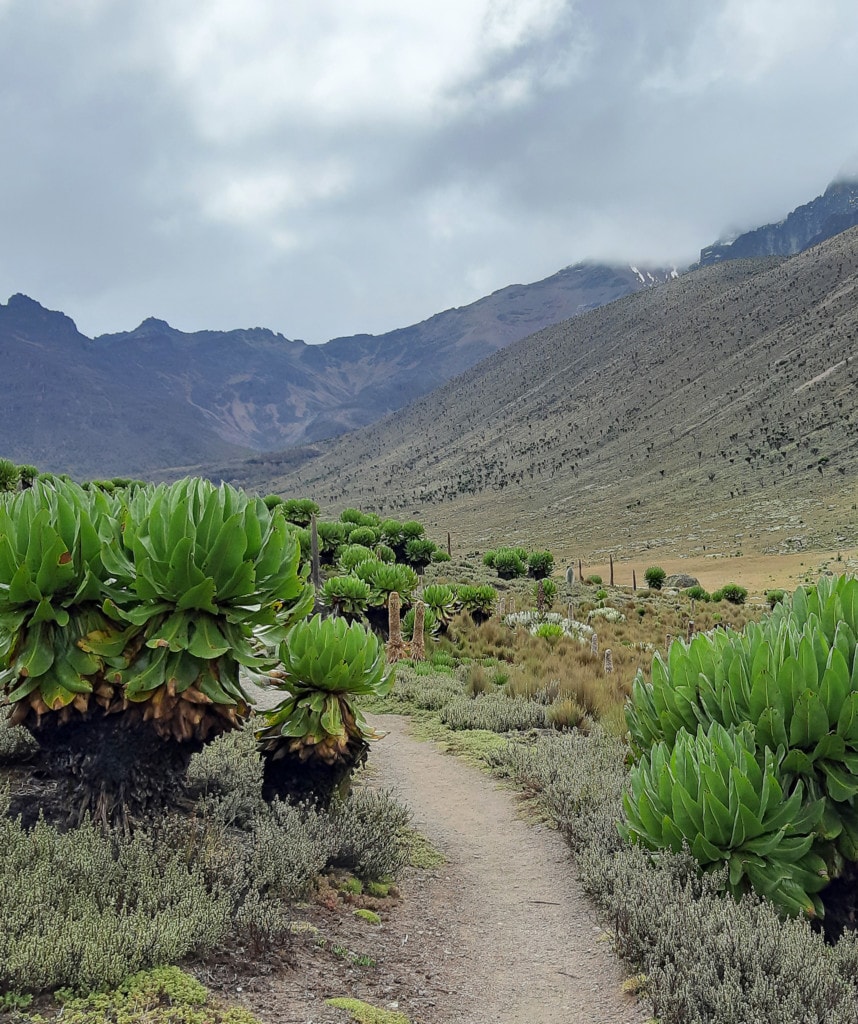 Tag 2 Sirimon Route Mount Kenia