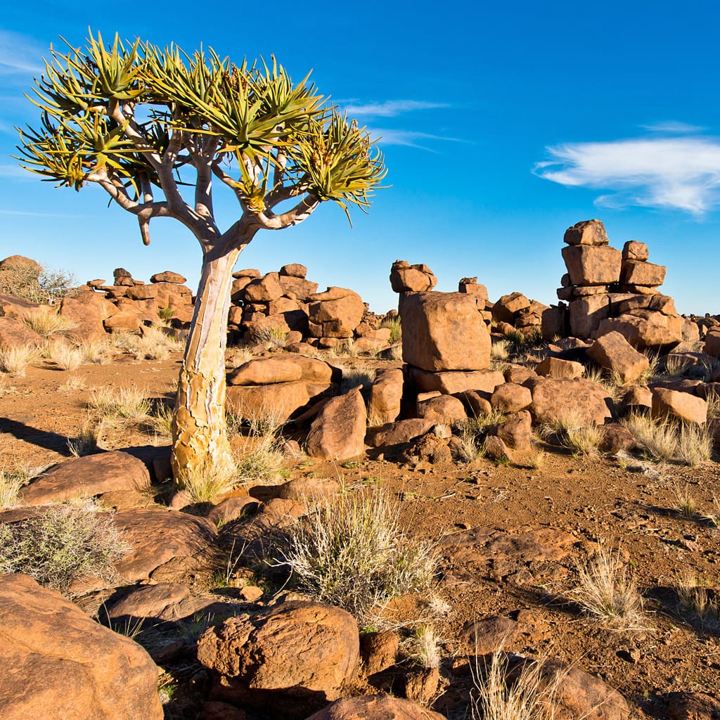 Namibia Mietwagenreise Individual