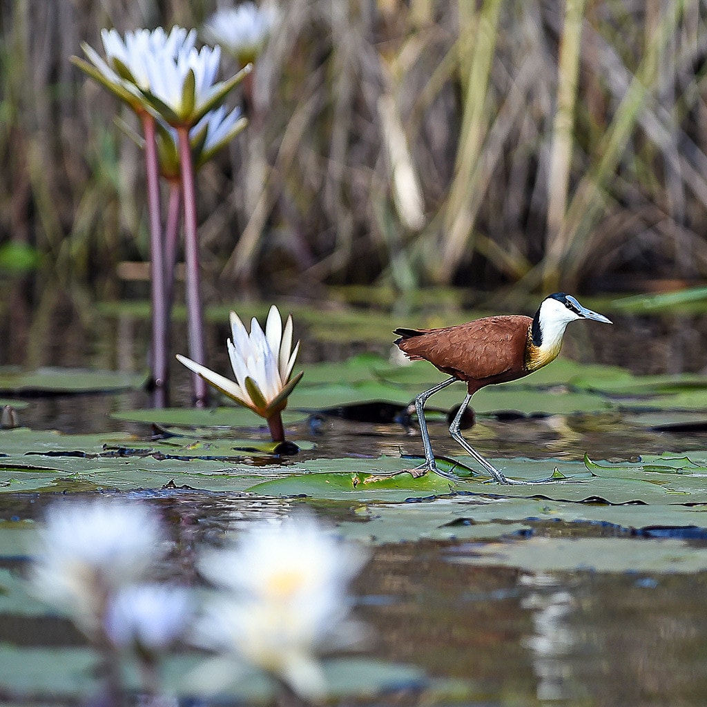 Namibia und Victoria Falls Rundreise