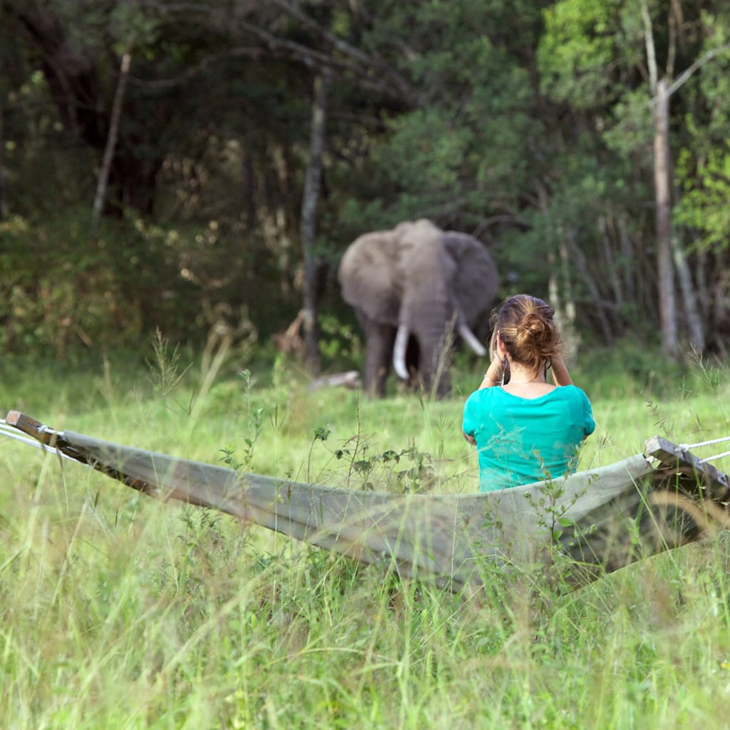 Privatreisen in Afrika Safari