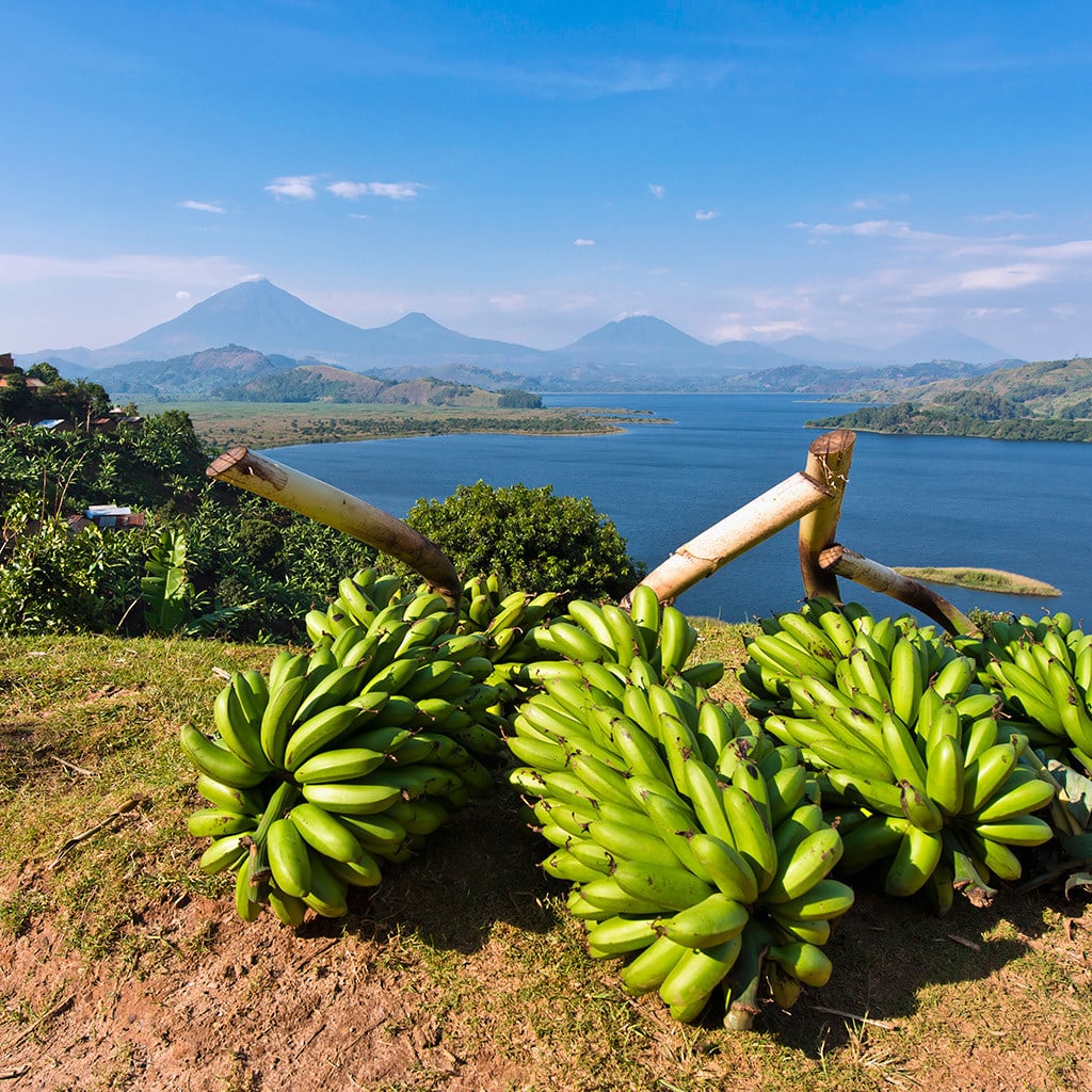 Rundreise Uganda Overland