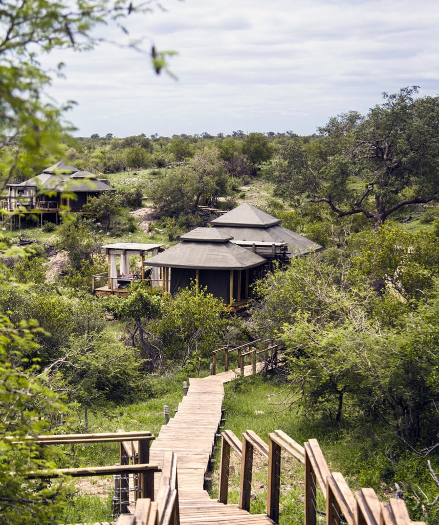 Simbavati Hilltop Südafrika