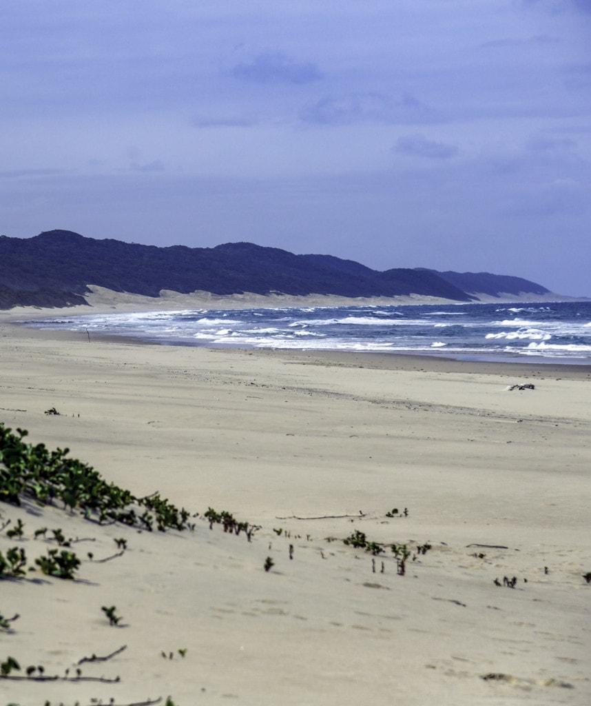 St Lucia Highlights Ostkueste Suedafrika Selbstfahrer