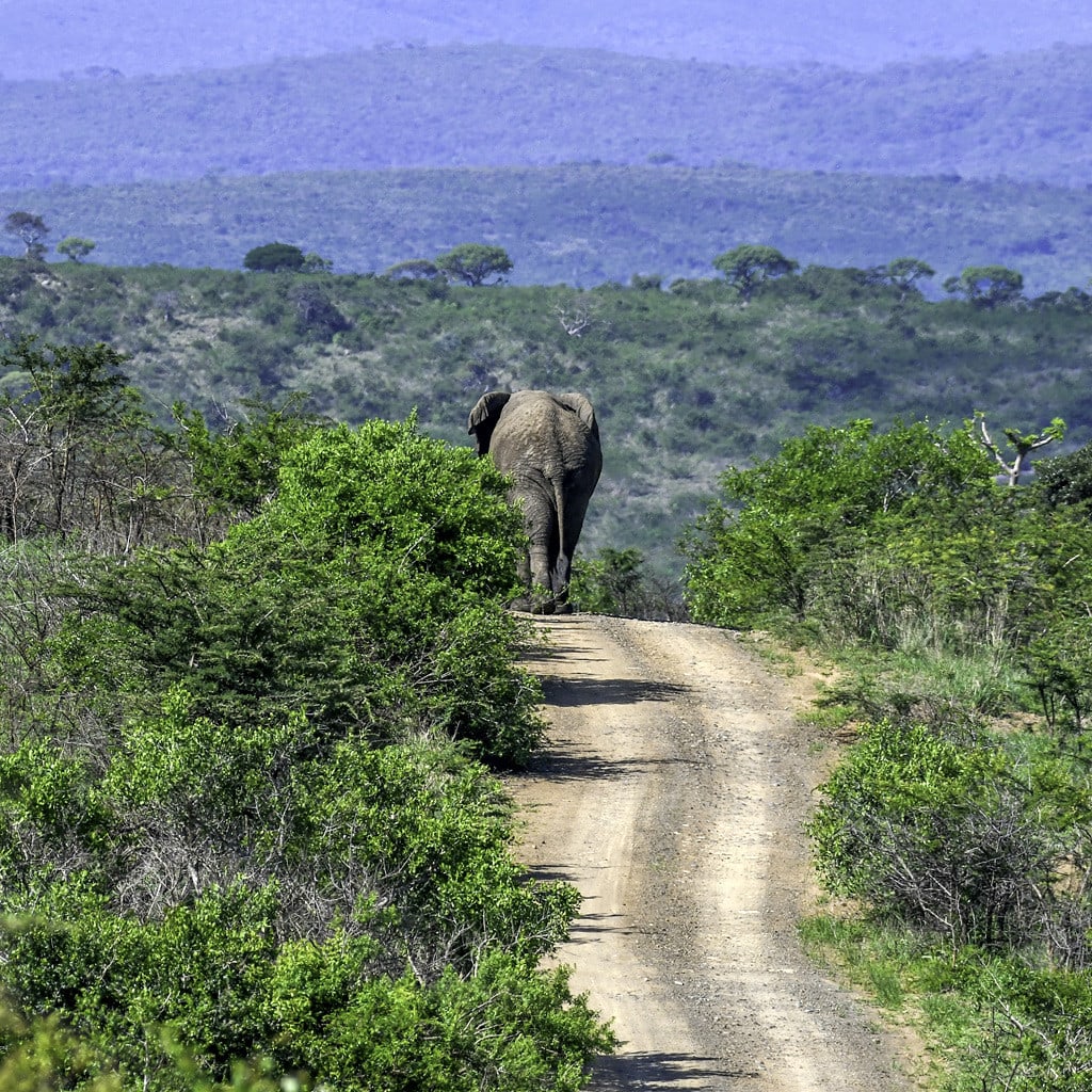 Suedafrika Safari Gruppe 2 Wochen