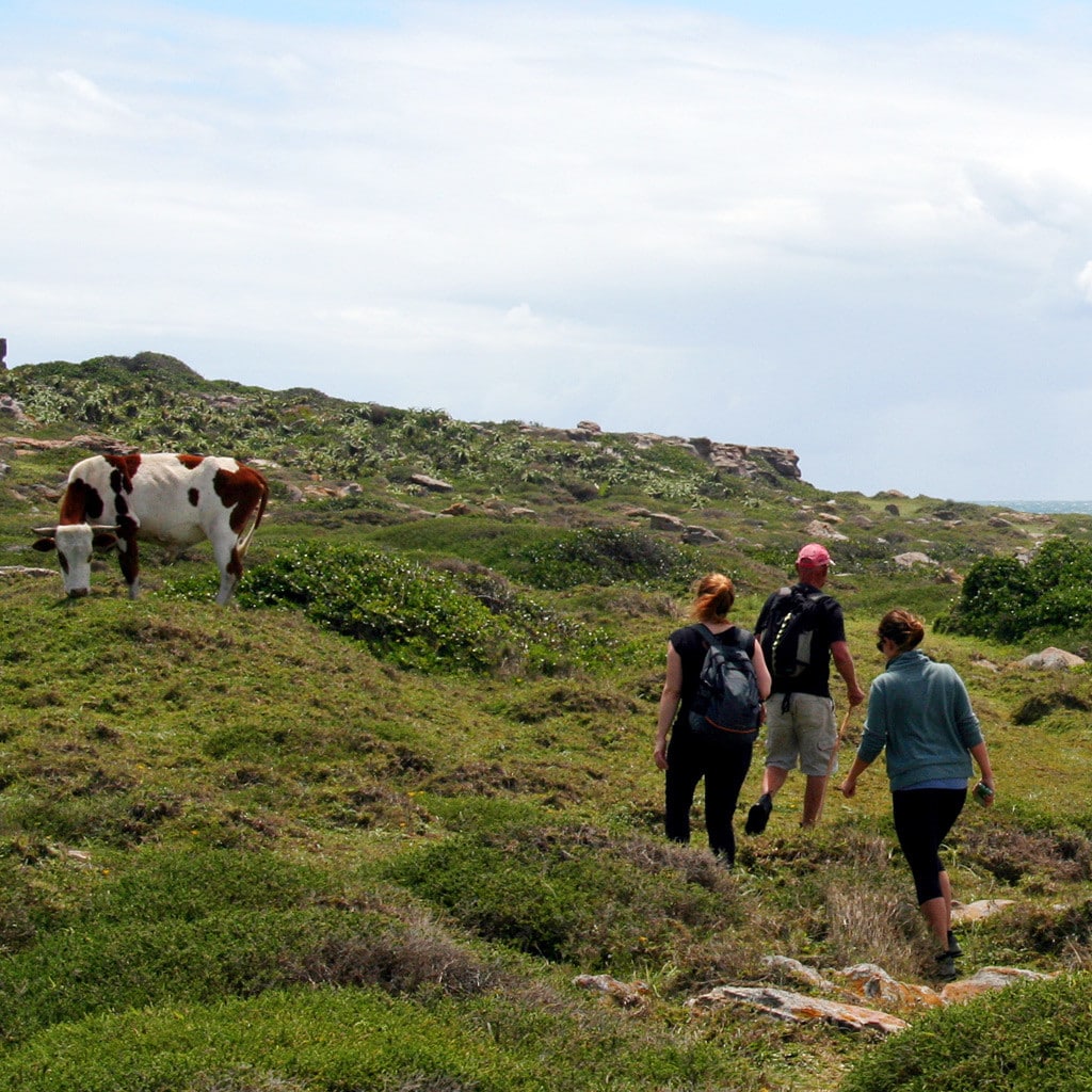 Geführte Wanderungen an der WIld Coast Trekkingreise